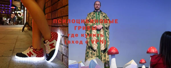 jwh Каменногорск