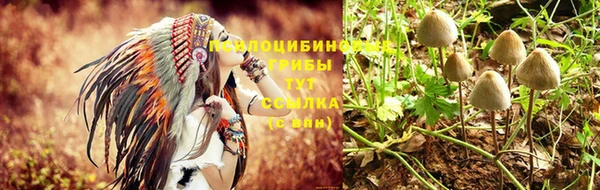 спайс Каменск-Шахтинский