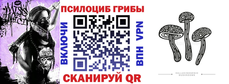 Галлюциногенные грибы MAGIC MUSHROOMS Боготол