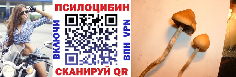 Галлюциногенные грибы мухоморы  Купить закладки  Боготол 